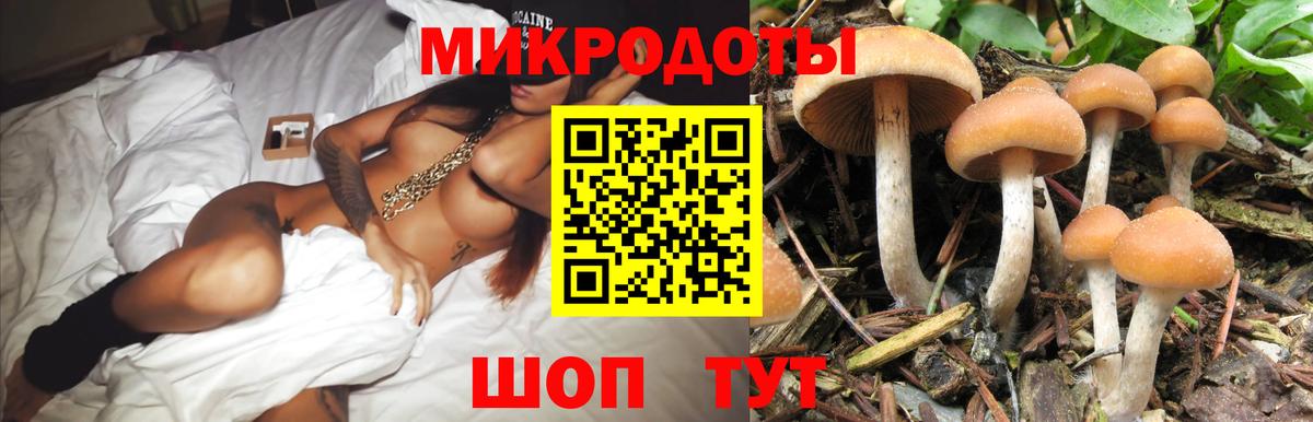 цены наркотик  Псилоцибиновые грибы GOLDEN TEACHER  Вход с VPN  Сланцы 