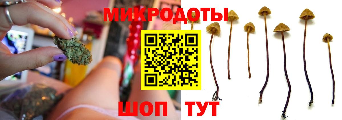 Галлюциногенные грибы Cubensis Сланцы